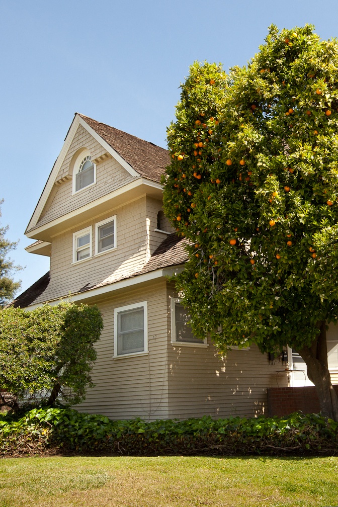 657 Everett Avenue photo 3